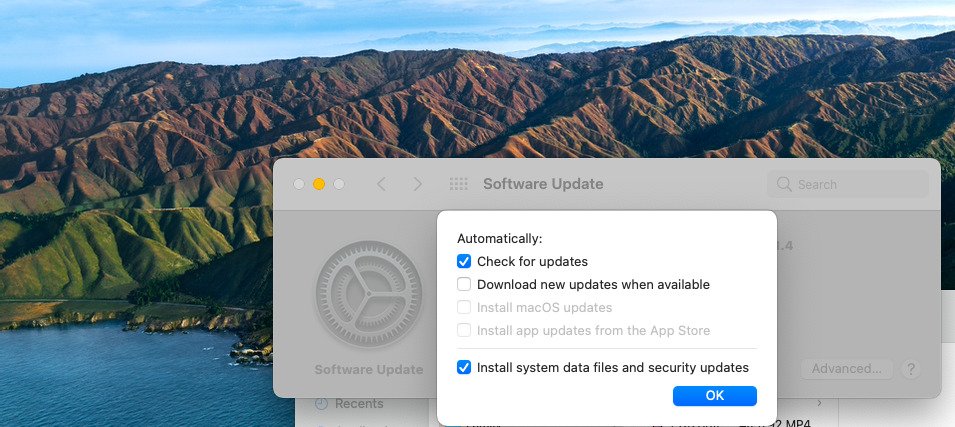 auto updates disabled on mac