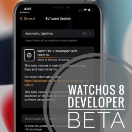 watchOS 8 Developer Beta