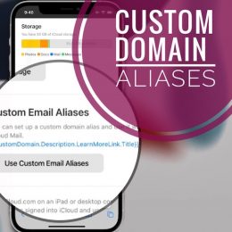 Custom Domain Alias Setup