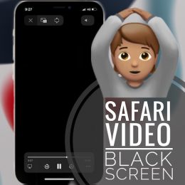 Safari video black screen bug