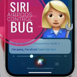 Siri AirPods Control Not Working