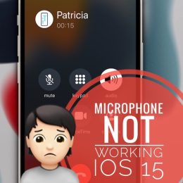Microphone not working in iOS 15