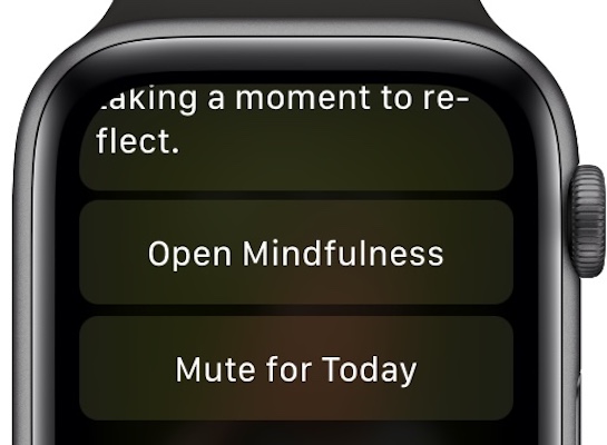 how-to-turn-off-mindfulness-notifications-on-apple-watch