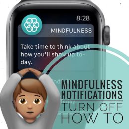 Mindfulness notification on Apple Watch