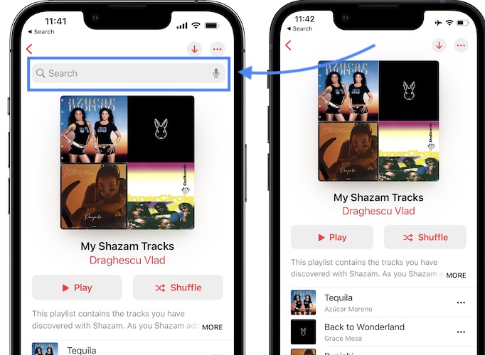 Playlist search in Apple Music