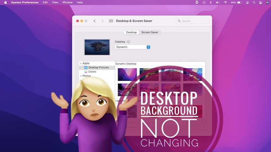 macOS Monterey desktop background not changing