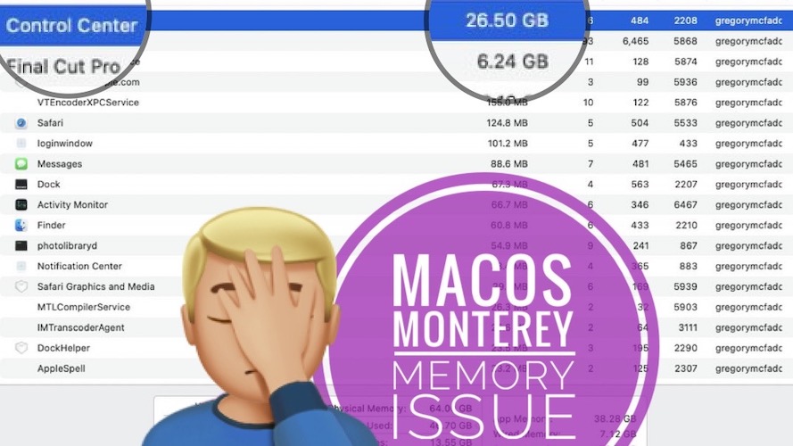 macos Monterey Memory issue