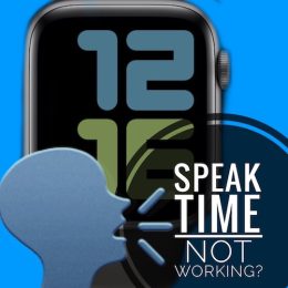 Apple Watch not speaking time