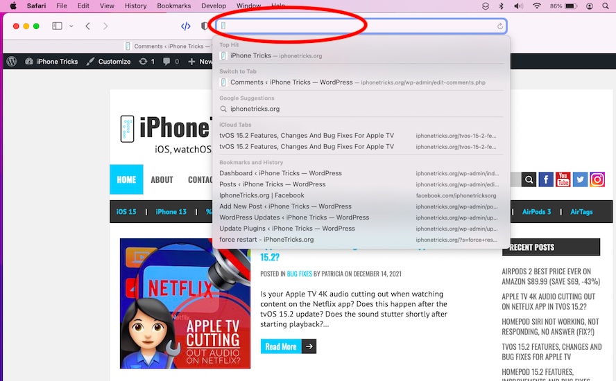 invisible text in Safari address bar issue