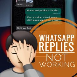 WhatsApp reply not working