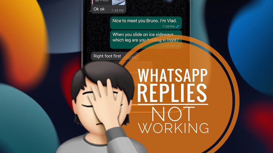 WhatsApp reply not working