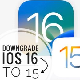 downgrade iOS 16 to 15