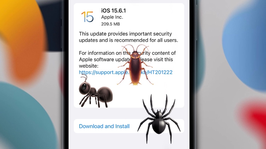 iOS 15.6.1 bugs