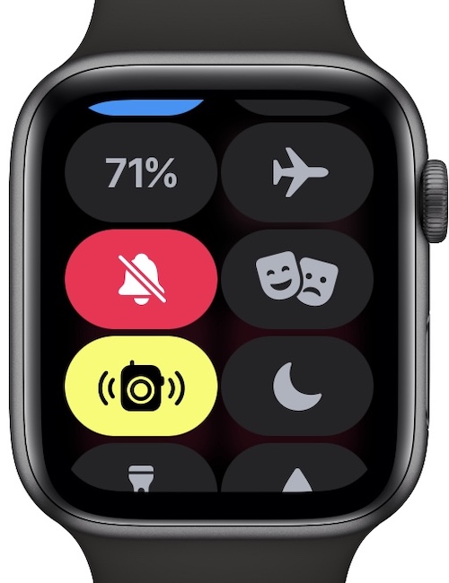 turn off walkie-talkie on Apple Watch