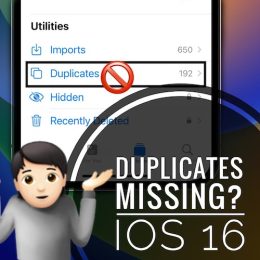 Duplicates not showing in iOS 16