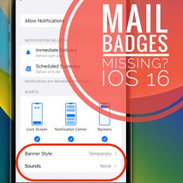 Mail badges not available iOS 16