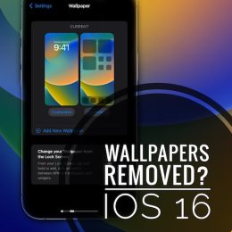 Old Wallpapers removed in iOS 16