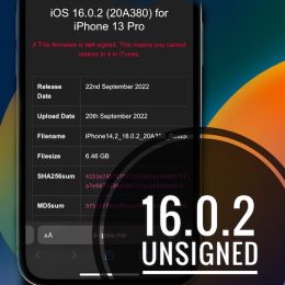 iOS 16.0.2 unsigned