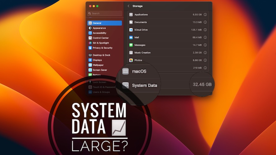 Mac System Data large
