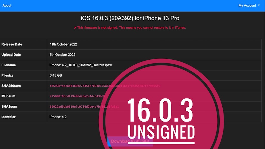 iOS 16.0.3 not signed