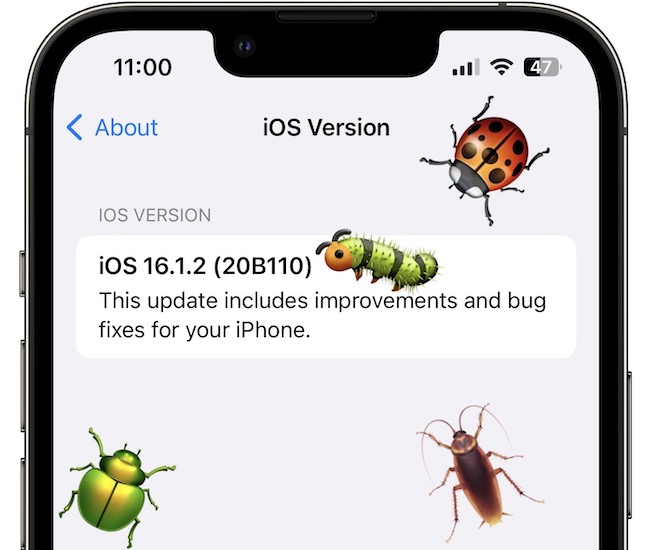 iOS 16.1.2 bugs