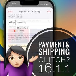 payment and shipping bug iOS 16.1.1
