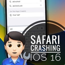 safari crashing ios 16