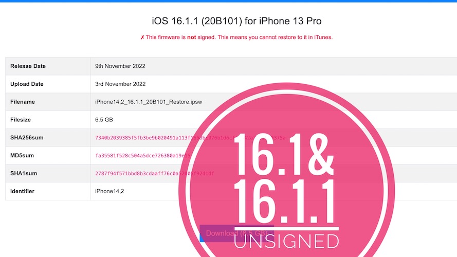 iOS 16.1.1 unsigned