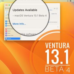 macos 13.1 beta 4