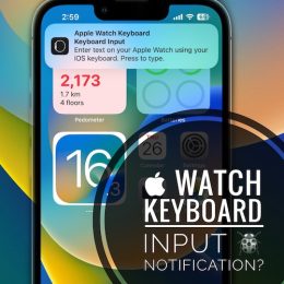 apple watch keyboard input notification on iphone
