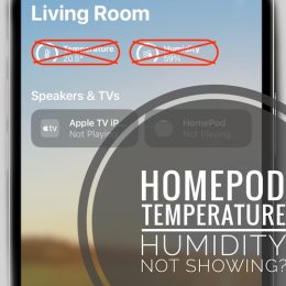 HomePod Temperature and humidity not showing