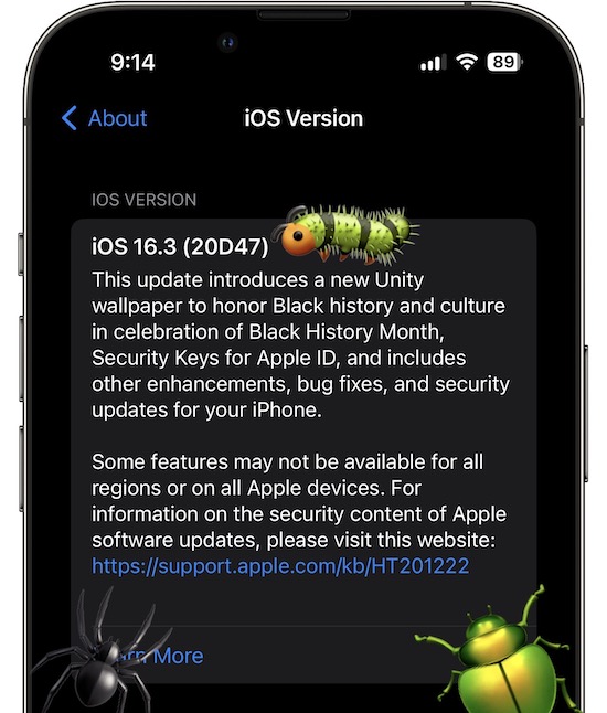 iOS 16.3 bugs
