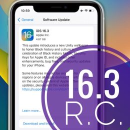 iOS 16.3 RC