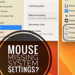 mouse not showing in settings on mac
