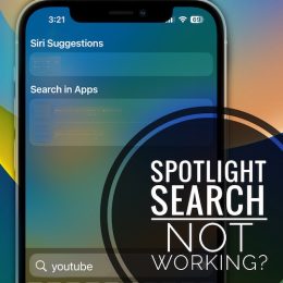 spotlight search not working ios 16