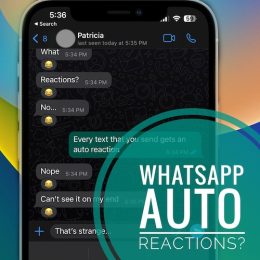 whatsapp reactions to messages