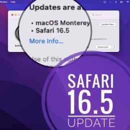 safari 16.5 update