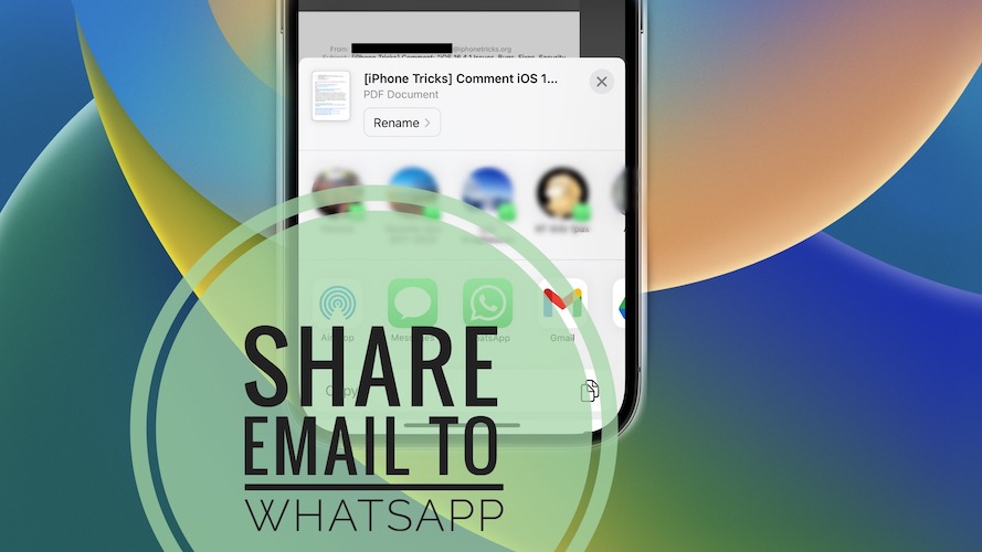 share email to whatsapp on iphone