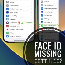 face id and passcode not showing in settings