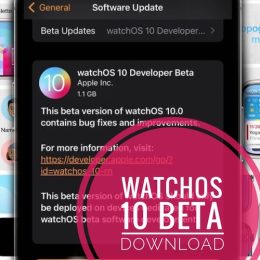watchOS 10 beta