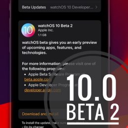 watchos 10 beta 2 update