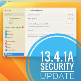 macos 13.4.1a security response