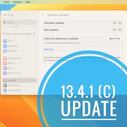 macos 13.4.1c update
