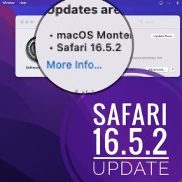 safari 16.5.2 update