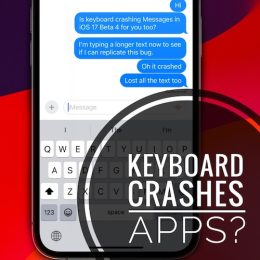 keyboard crashes apps ios 17 beta