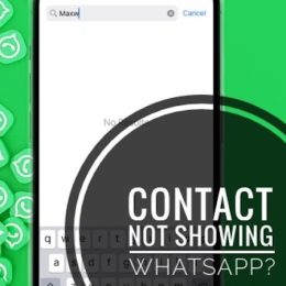 new contact not showing up in whatsapp