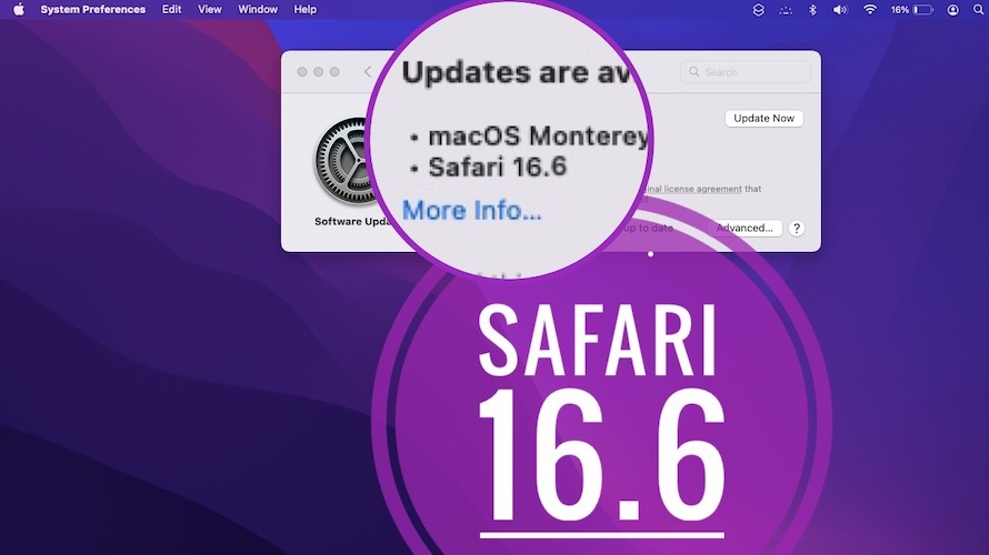 safari 16.6 update