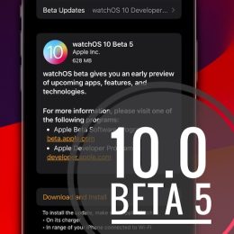watchos 10 beta 5 update