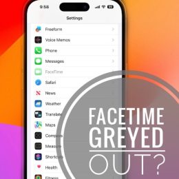 facetime greyed out in settings ios 17