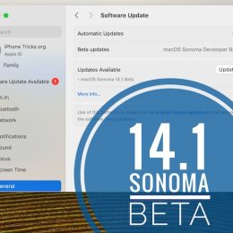 macOS 14.1 beta update
